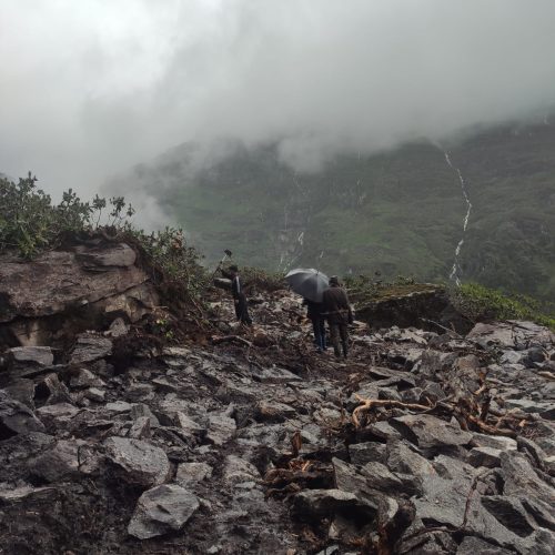 WhatsApp Image 2025-08-02 at 1.50.20 AM